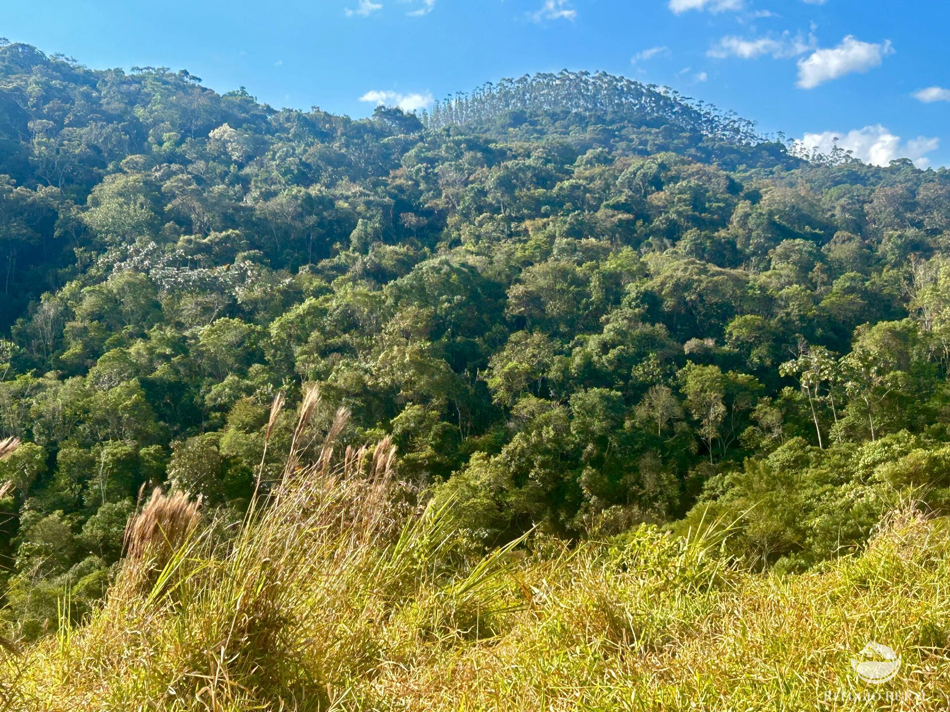 Terreno à venda, 20000m² - Foto 29