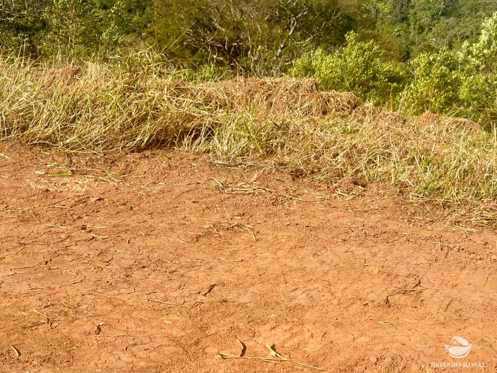 Terreno à venda, 20000m² - Foto 25