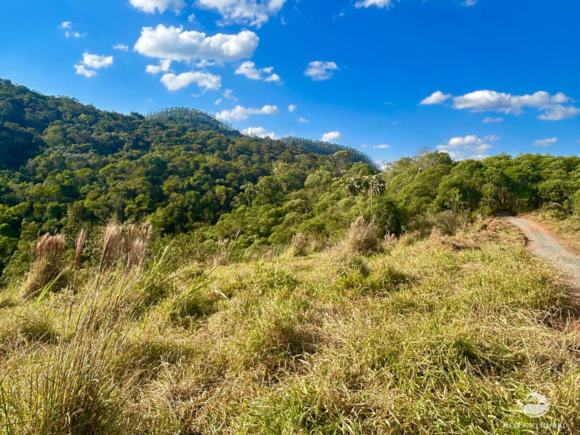 Terreno à venda, 20000m² - Foto 24