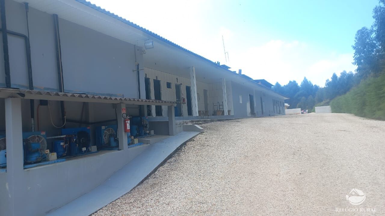 Fazenda à venda, 50000m² - Foto 1