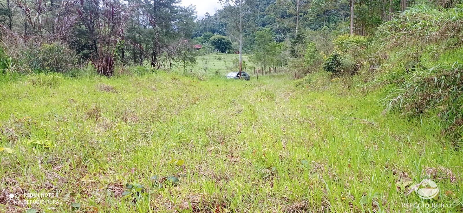 Terreno à venda, 30000m² - Foto 17