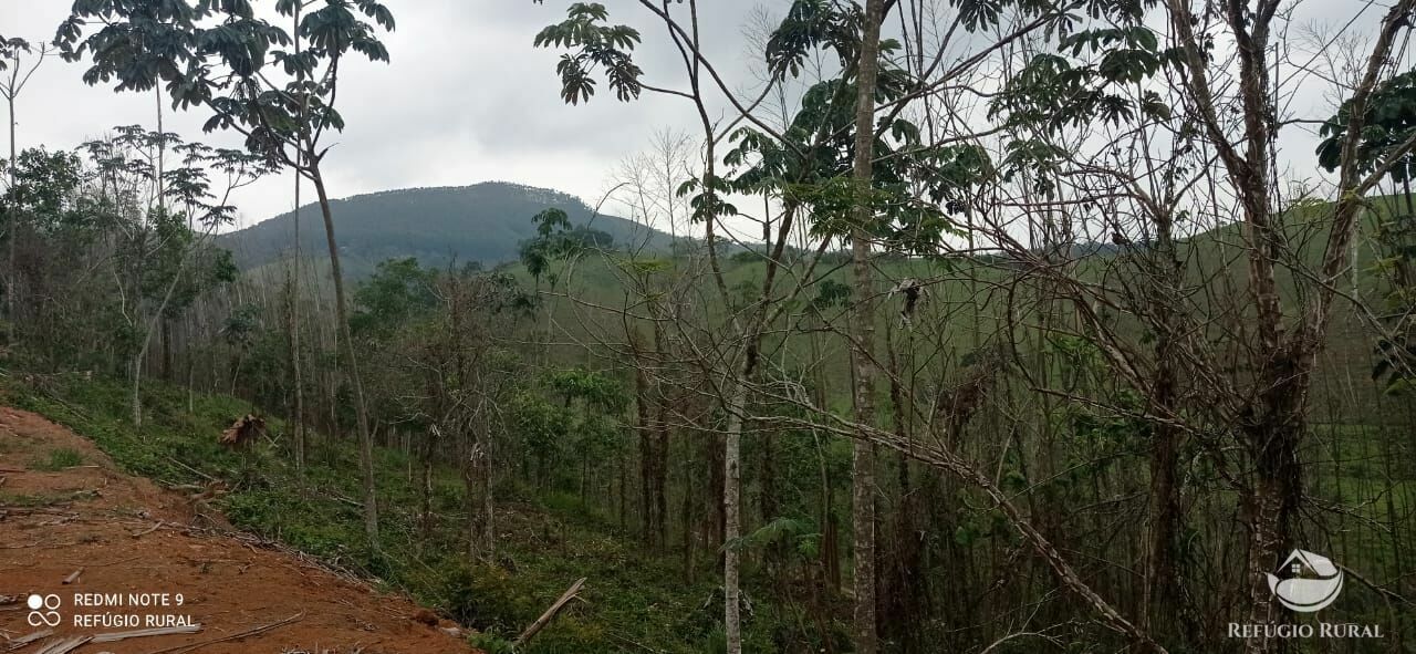 Terreno à venda, 30000m² - Foto 4