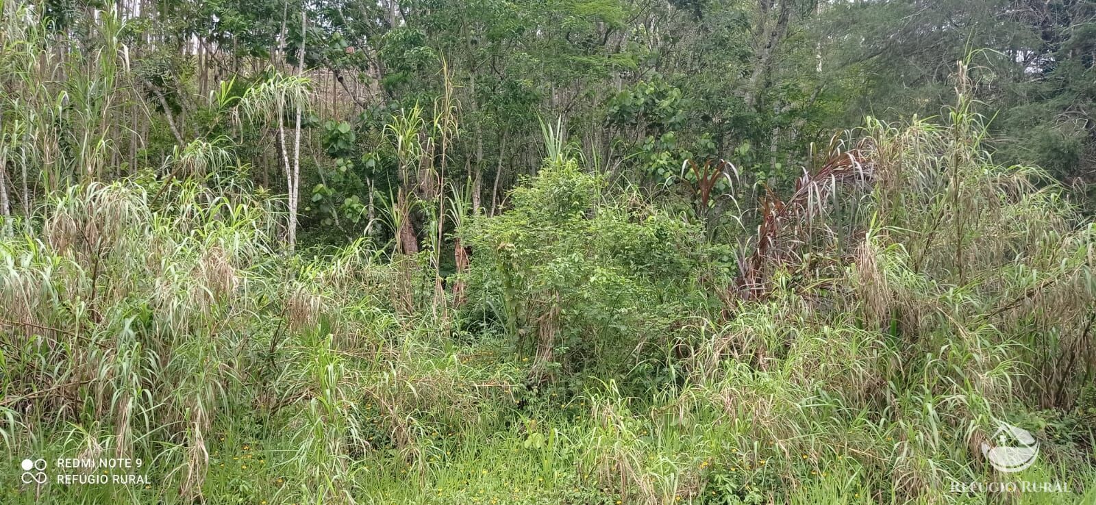 Terreno à venda, 30000m² - Foto 18