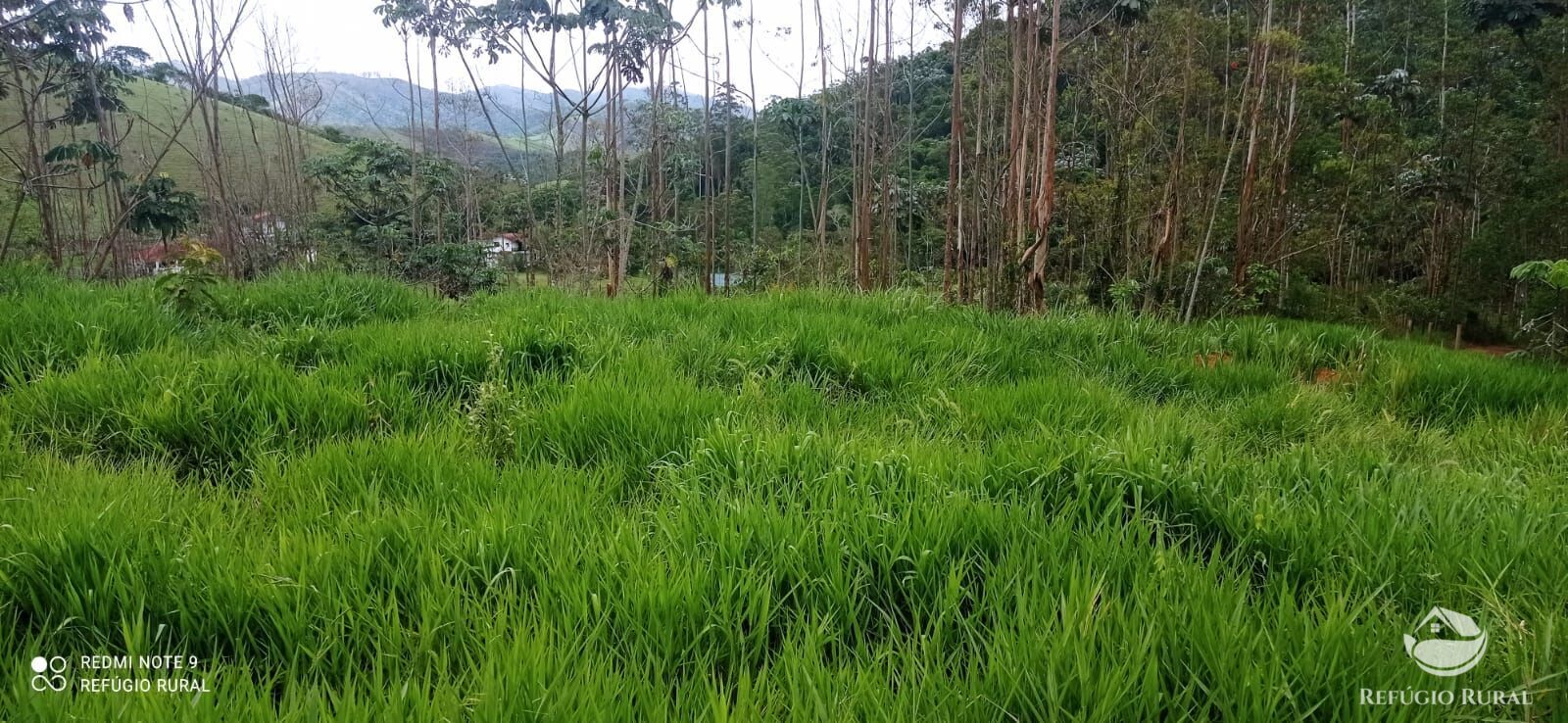 Terreno à venda, 30000m² - Foto 23