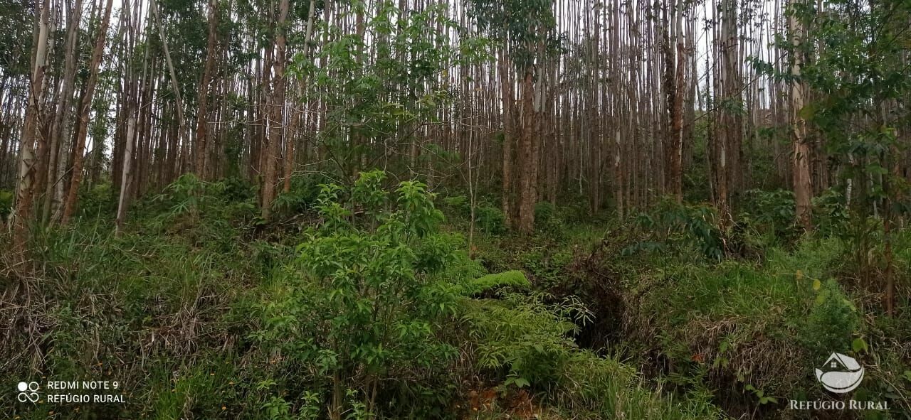 Terreno à venda, 30000m² - Foto 11