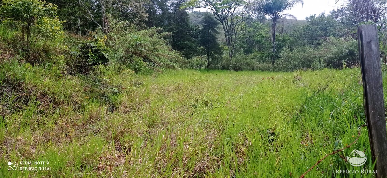 Terreno à venda, 30000m² - Foto 19