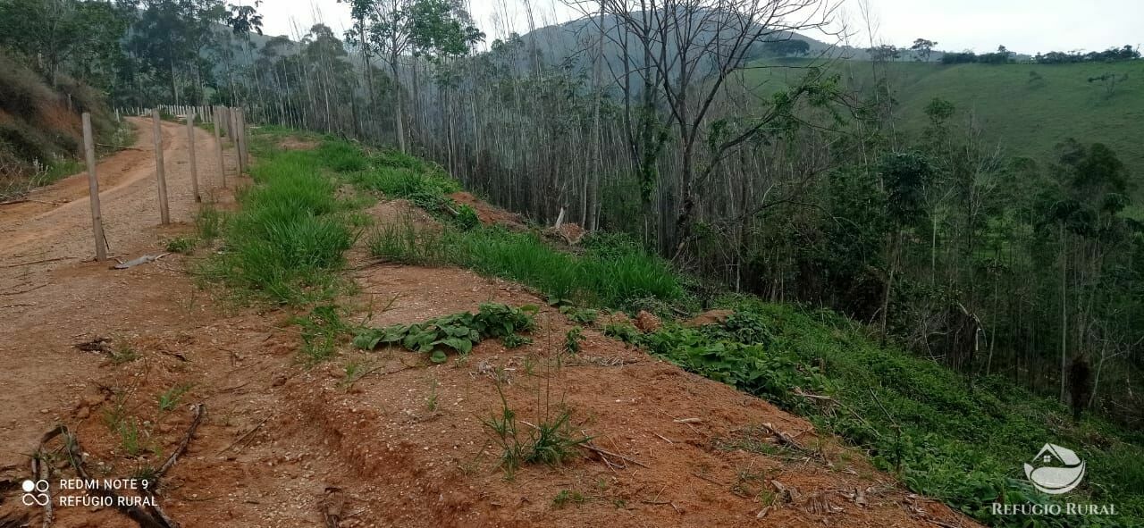 Terreno à venda, 30000m² - Foto 13