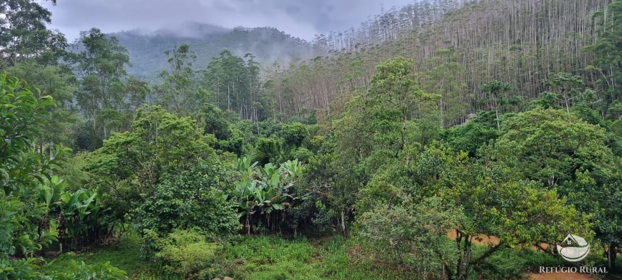 Fazenda à venda com 3 quartos, 40000m² - Foto 1