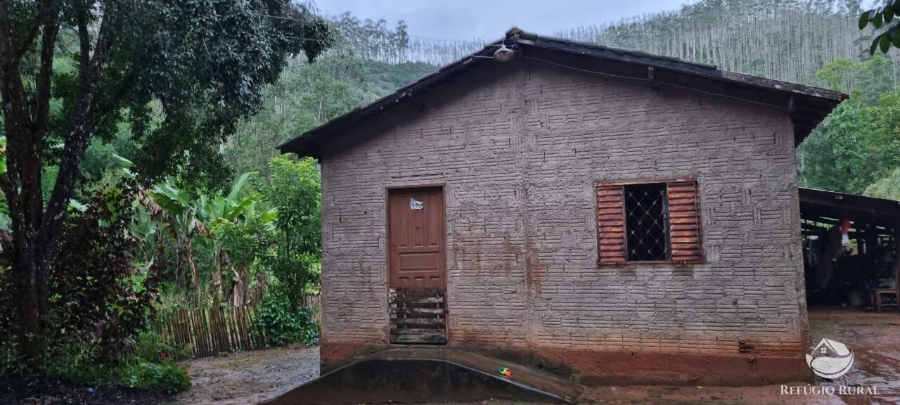 Fazenda à venda com 3 quartos, 40000m² - Foto 5