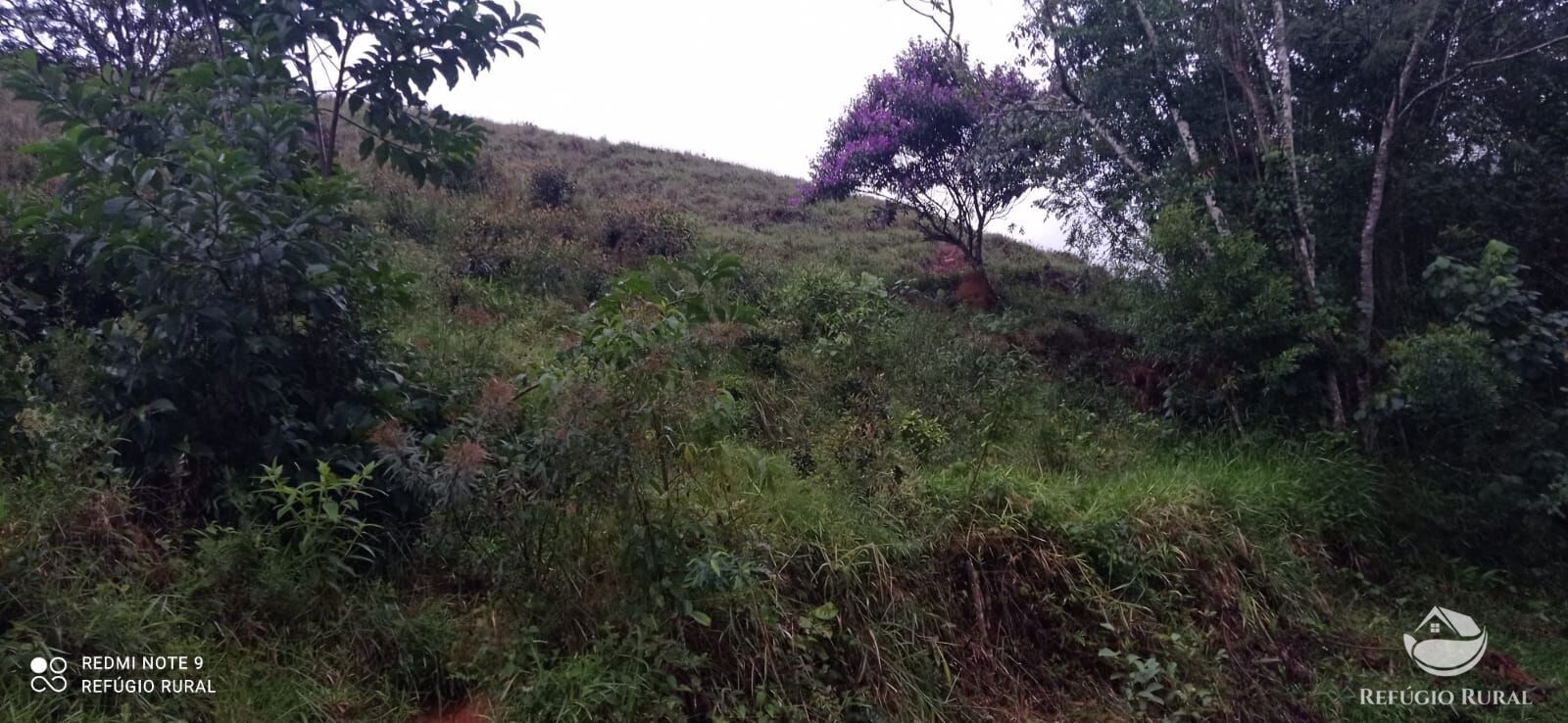 Fazenda à venda com 3 quartos, 40000m² - Foto 28