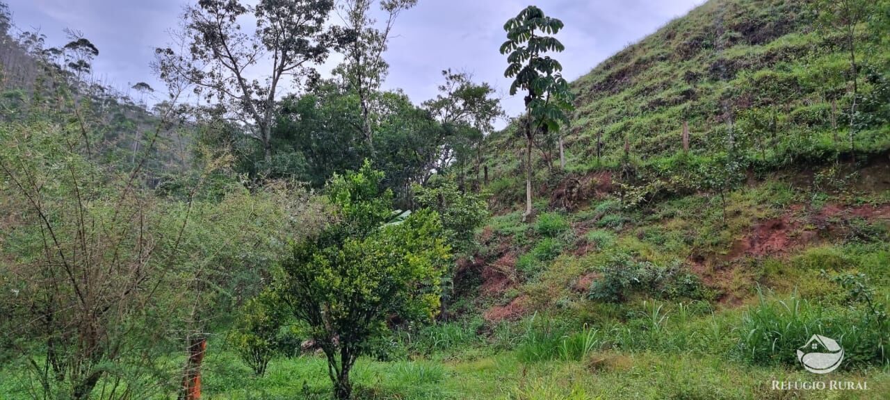 Fazenda à venda com 3 quartos, 40000m² - Foto 39