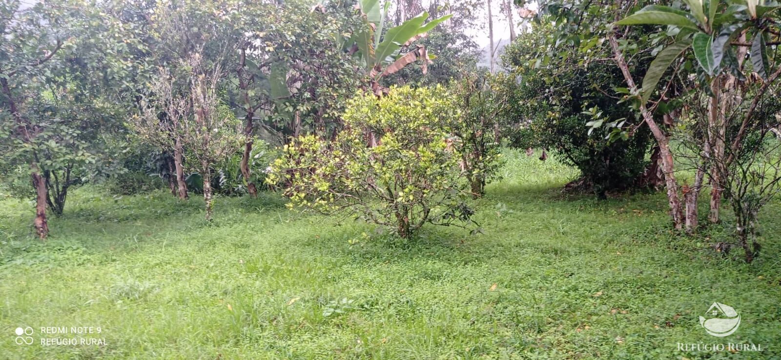 Fazenda à venda com 3 quartos, 40000m² - Foto 24