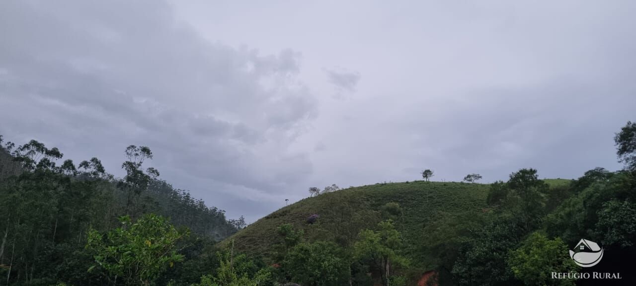 Fazenda à venda com 3 quartos, 40000m² - Foto 37