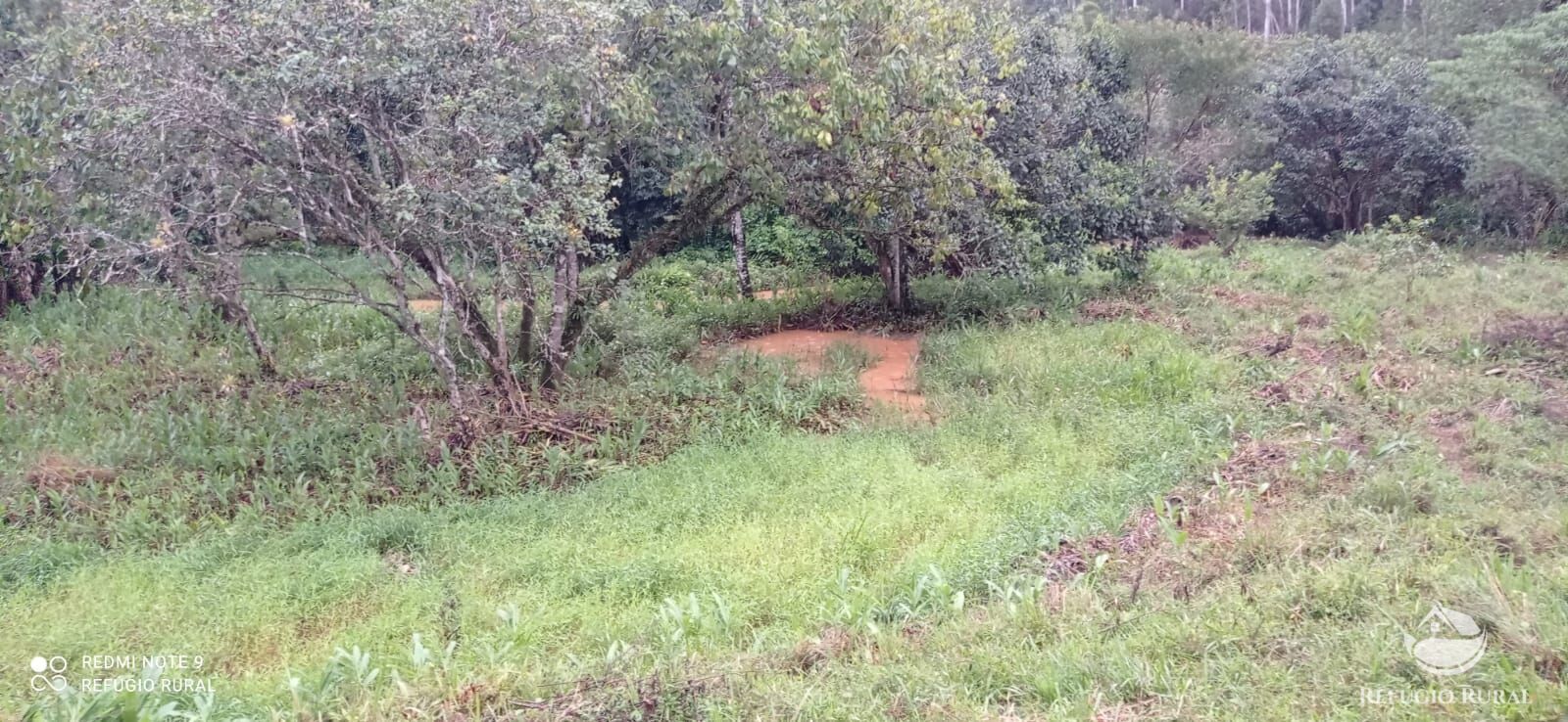 Fazenda à venda com 3 quartos, 40000m² - Foto 23