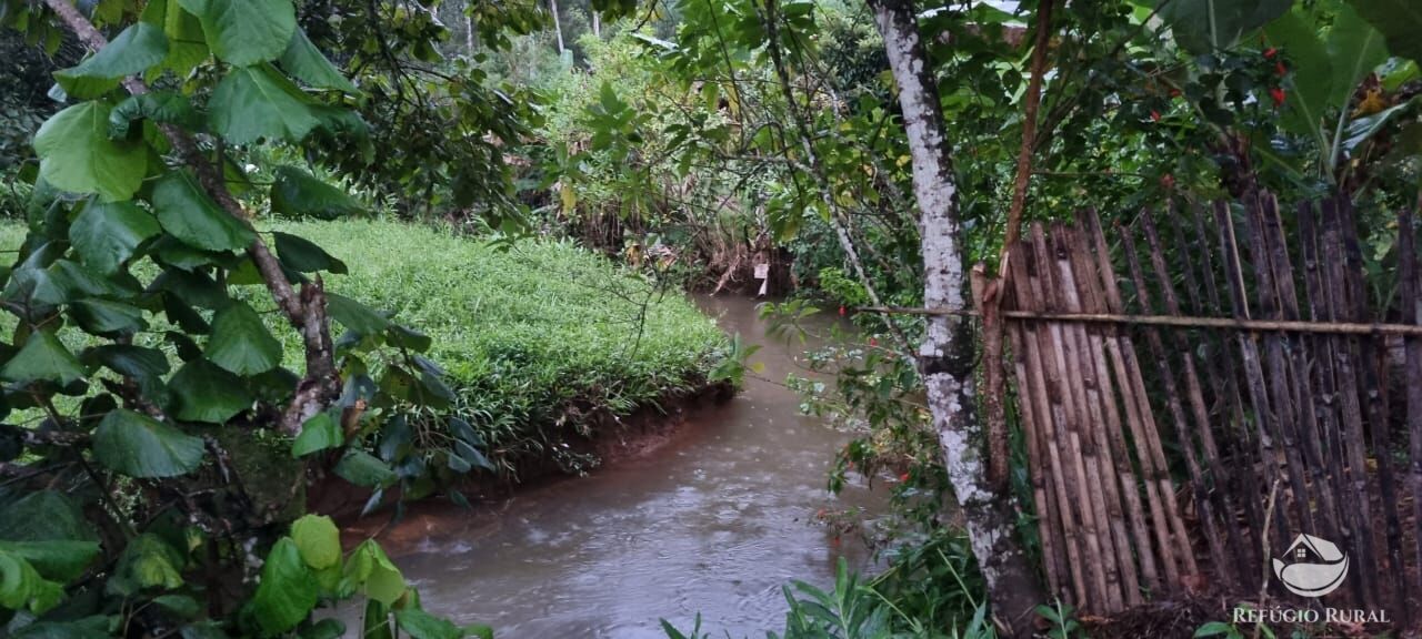 Fazenda à venda com 3 quartos, 40000m² - Foto 6