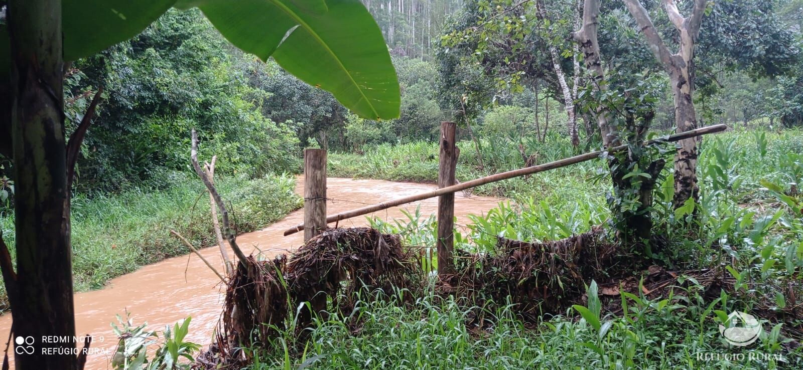 Fazenda à venda com 3 quartos, 40000m² - Foto 17