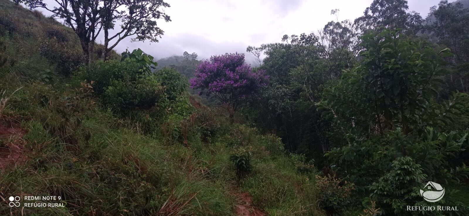 Fazenda à venda com 3 quartos, 40000m² - Foto 29