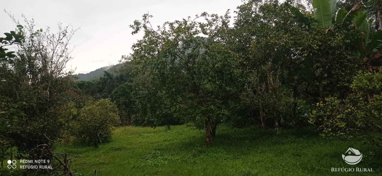 Fazenda à venda com 3 quartos, 40000m² - Foto 20