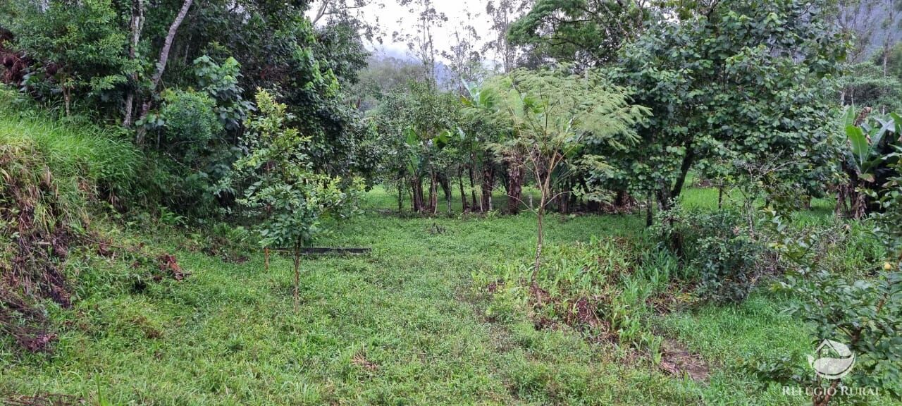 Fazenda à venda com 3 quartos, 40000m² - Foto 33