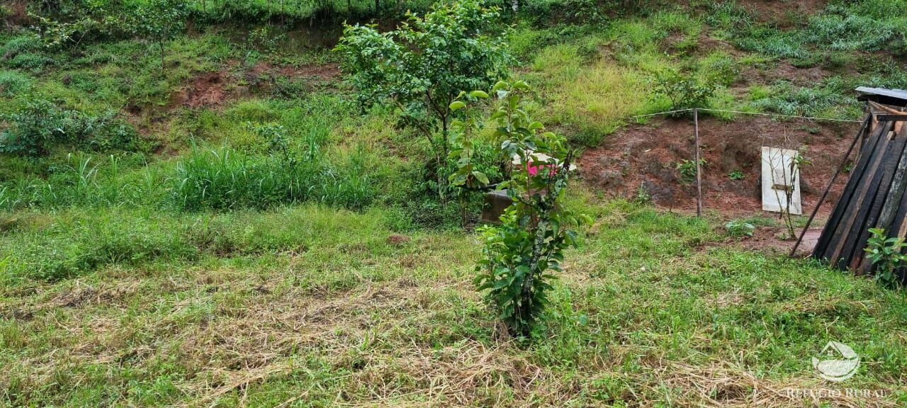 Fazenda à venda com 3 quartos, 40000m² - Foto 38