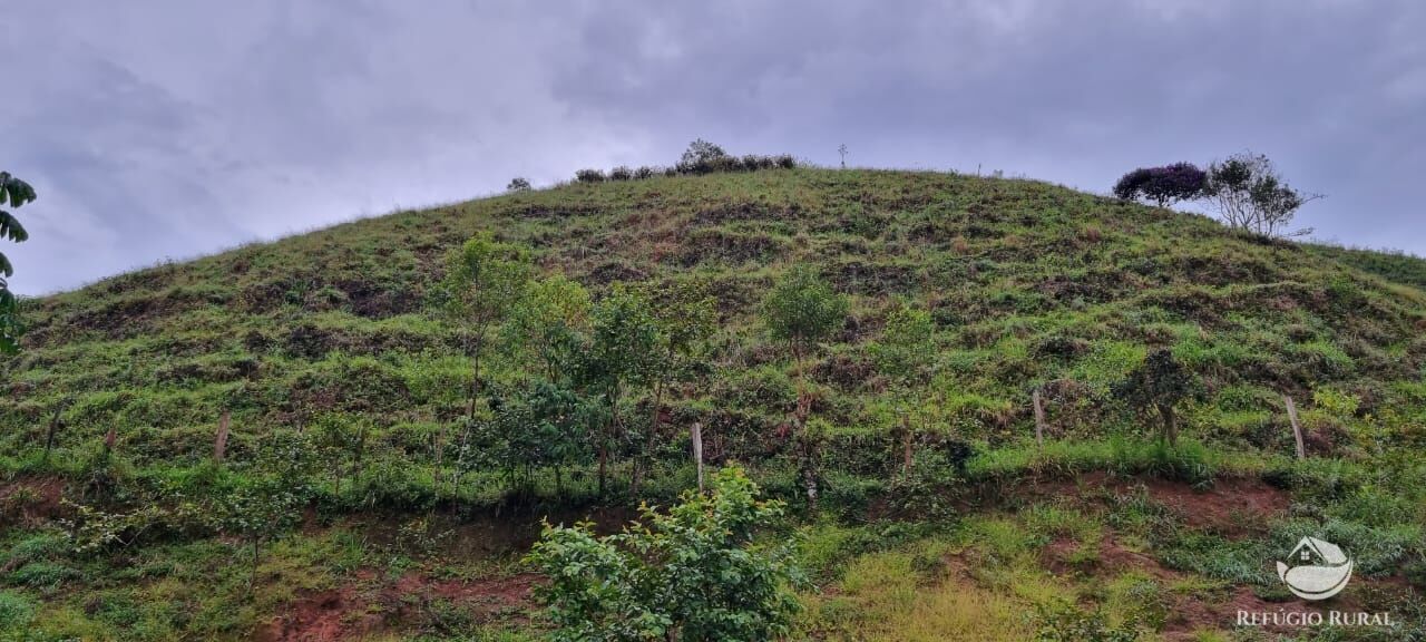 Fazenda à venda com 3 quartos, 40000m² - Foto 36