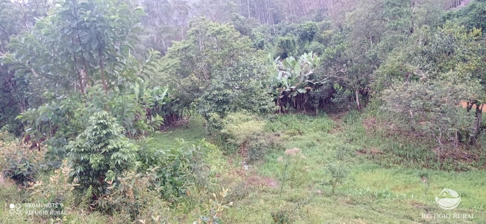 Fazenda à venda com 3 quartos, 40000m² - Foto 31