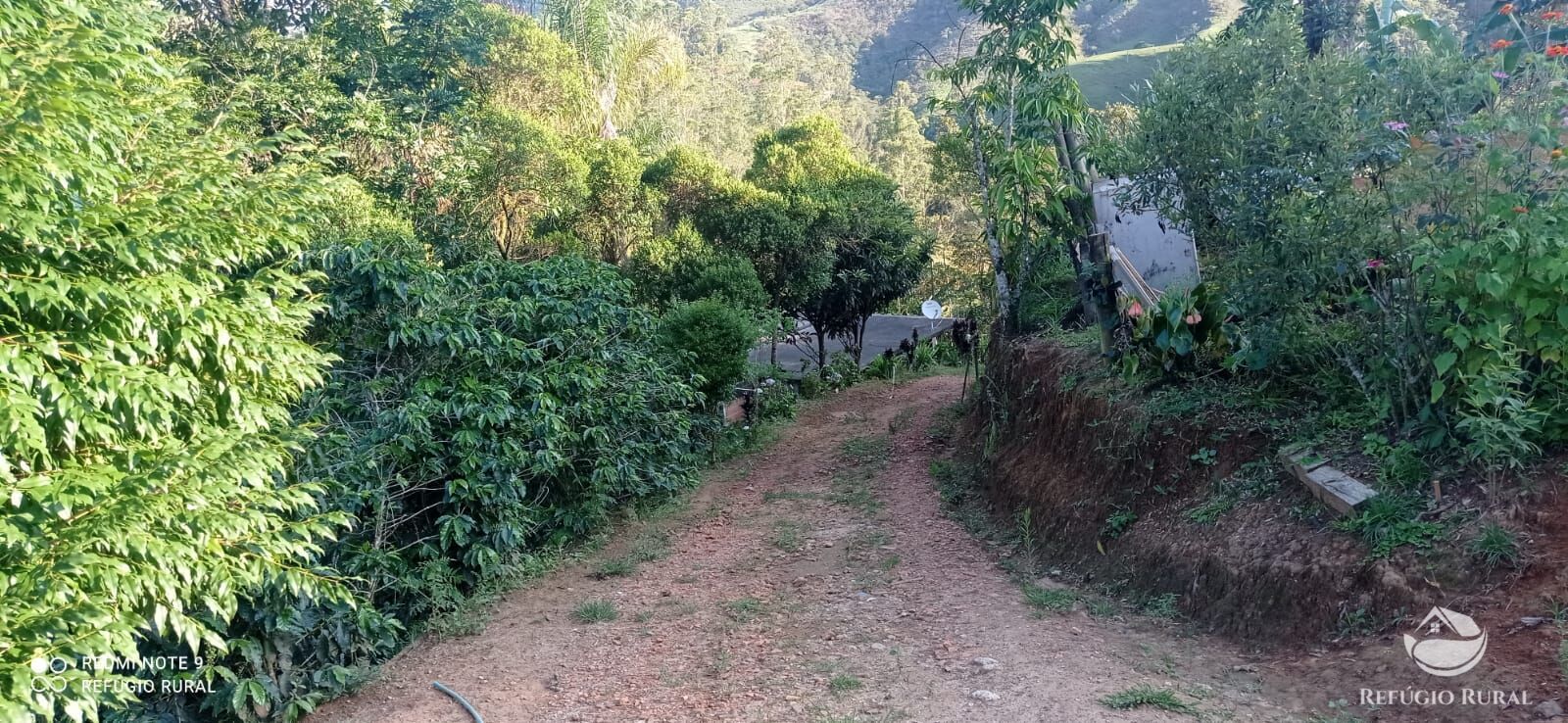 Fazenda à venda com 1 quarto, 11000m² - Foto 45