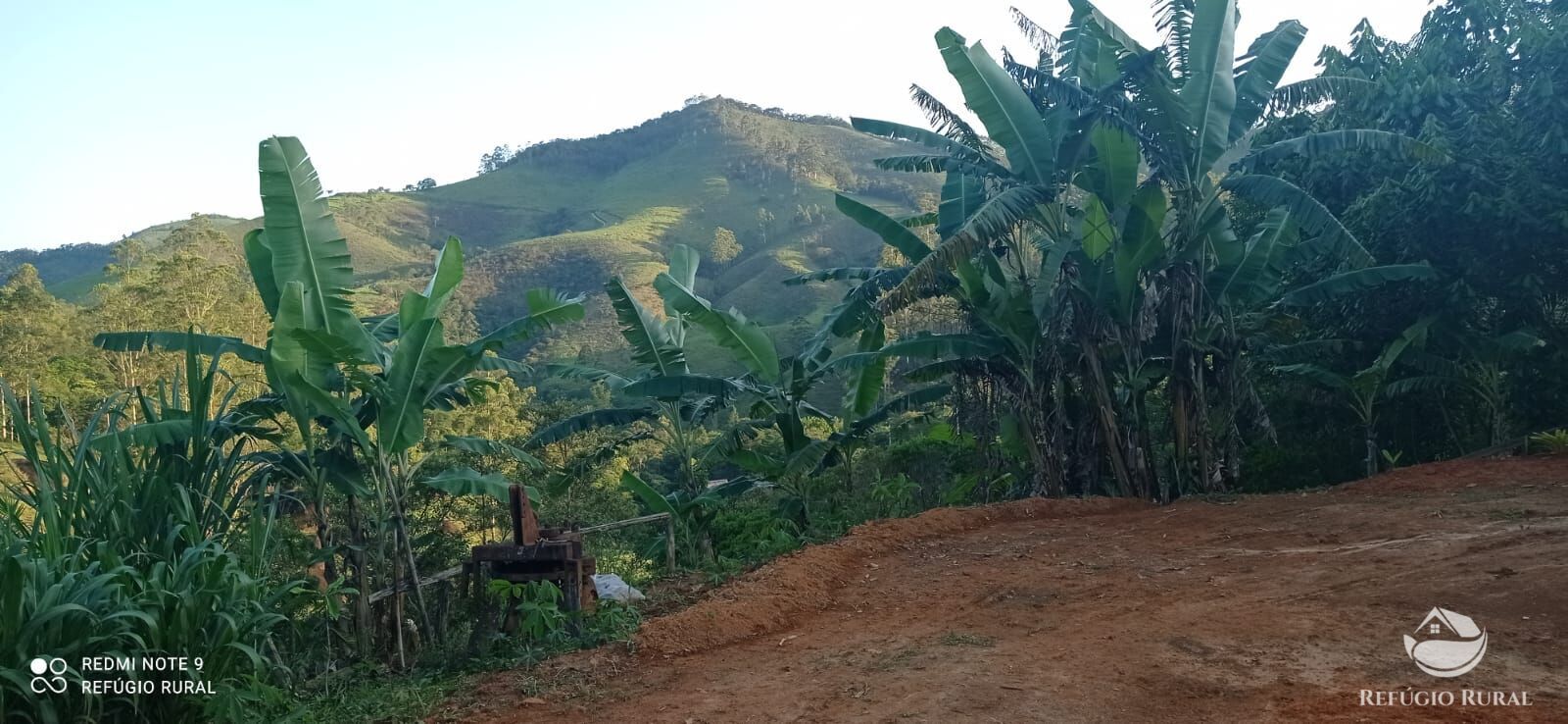 Fazenda à venda com 1 quarto, 11000m² - Foto 13