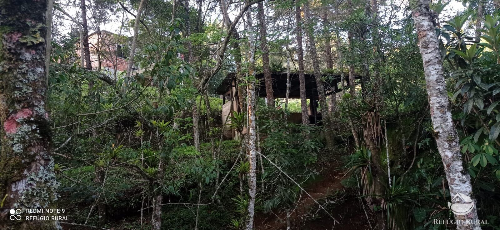 Fazenda à venda com 1 quarto, 11000m² - Foto 18