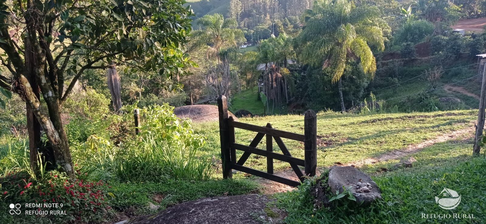 Fazenda à venda com 1 quarto, 11000m² - Foto 1