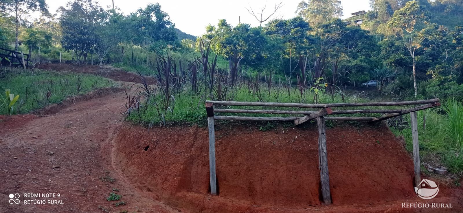 Fazenda à venda com 1 quarto, 11000m² - Foto 20