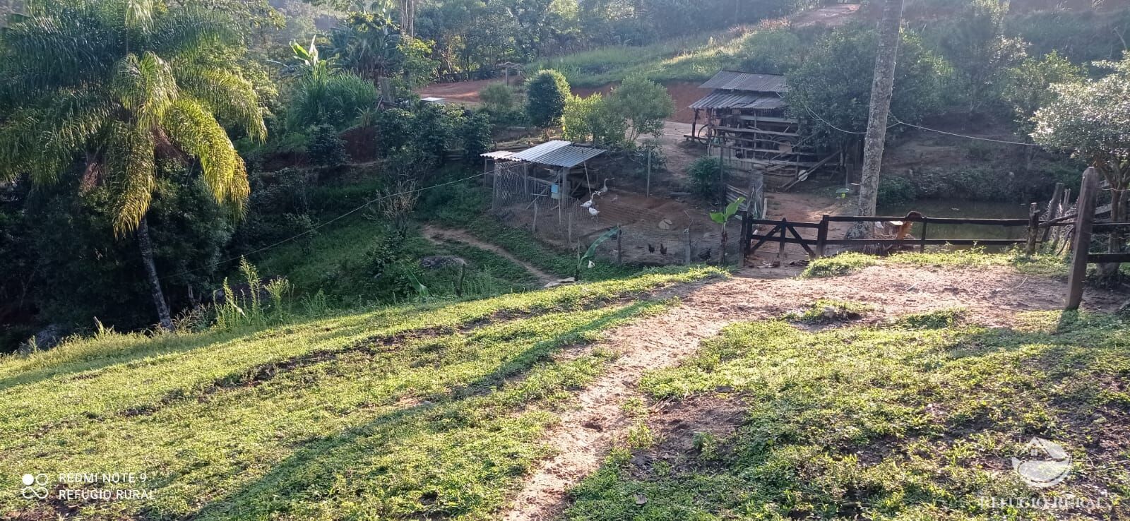 Fazenda à venda com 1 quarto, 11000m² - Foto 48