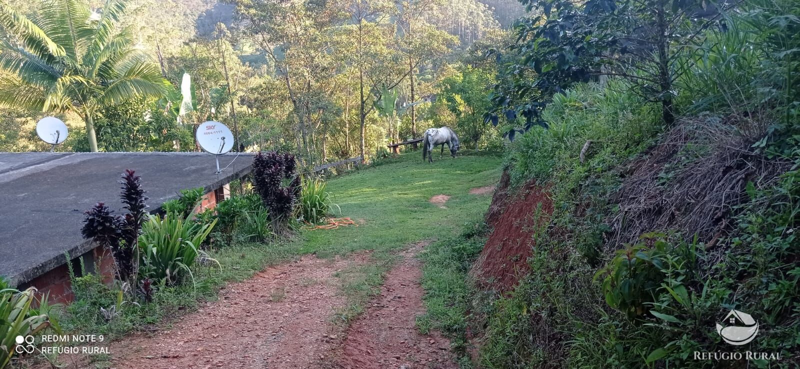 Fazenda à venda com 1 quarto, 11000m² - Foto 5