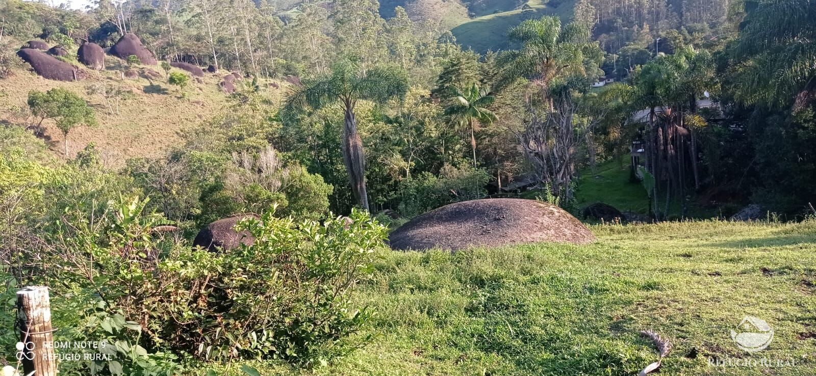 Fazenda à venda com 1 quarto, 11000m² - Foto 47