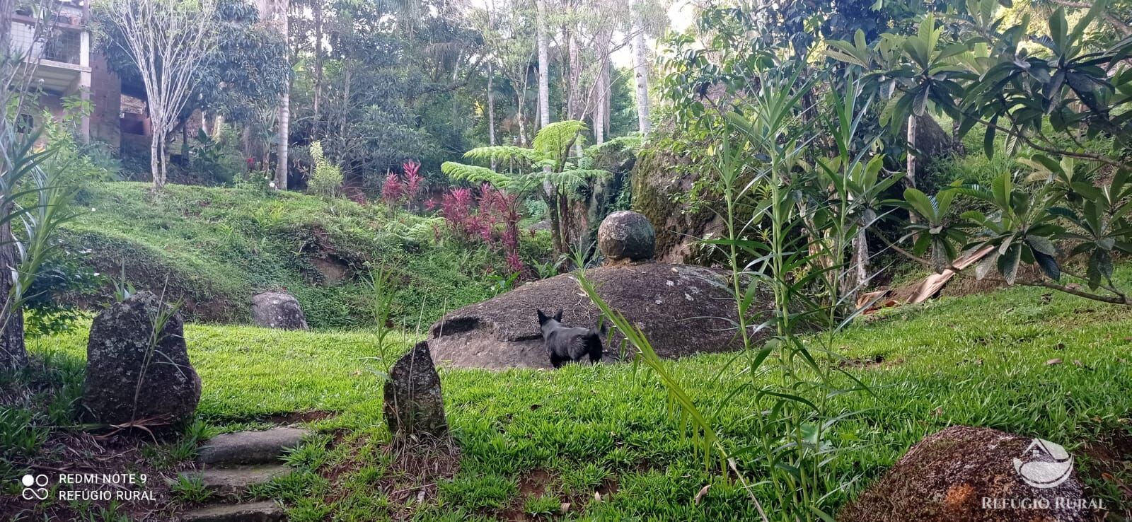 Fazenda à venda com 1 quarto, 11000m² - Foto 2