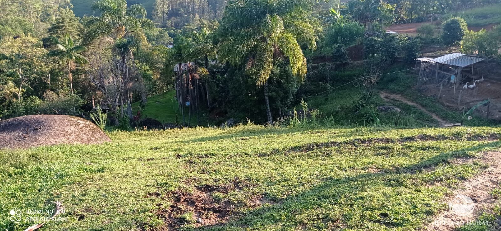 Fazenda à venda com 1 quarto, 11000m² - Foto 44