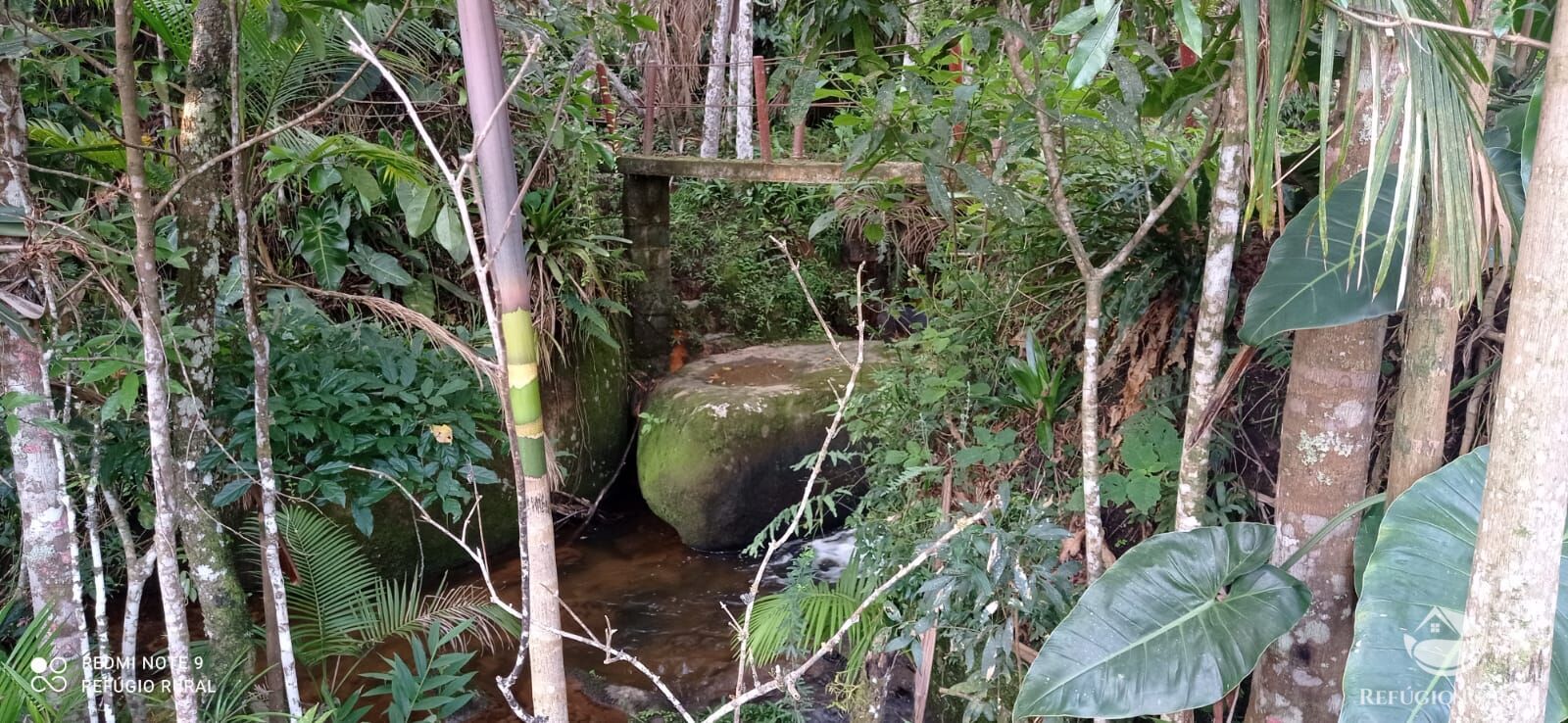 Fazenda à venda com 1 quarto, 11000m² - Foto 29