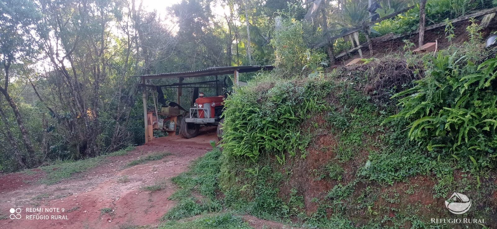 Fazenda à venda com 1 quarto, 11000m² - Foto 37