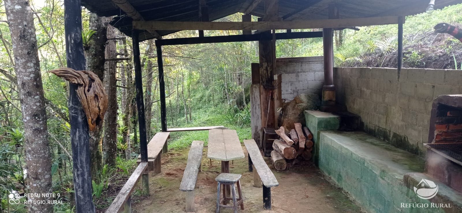 Fazenda à venda com 1 quarto, 11000m² - Foto 35