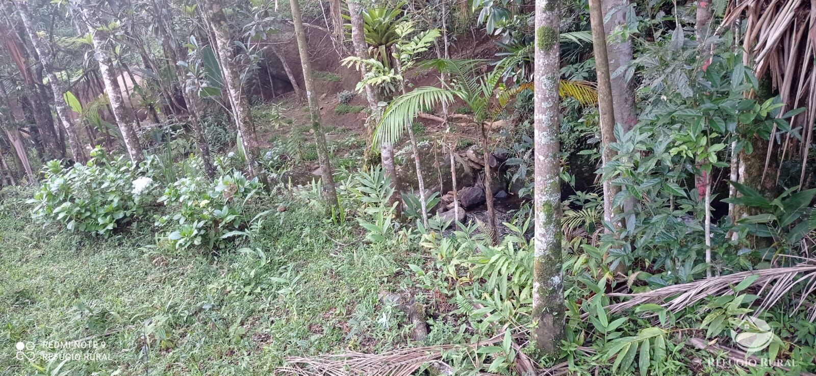 Fazenda à venda com 1 quarto, 11000m² - Foto 31