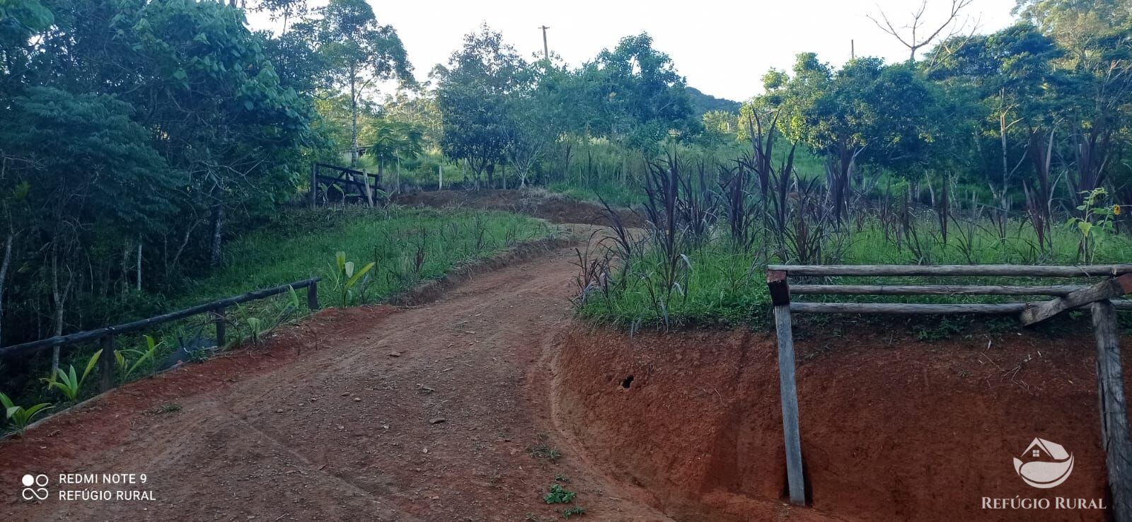 Fazenda à venda com 1 quarto, 11000m² - Foto 21