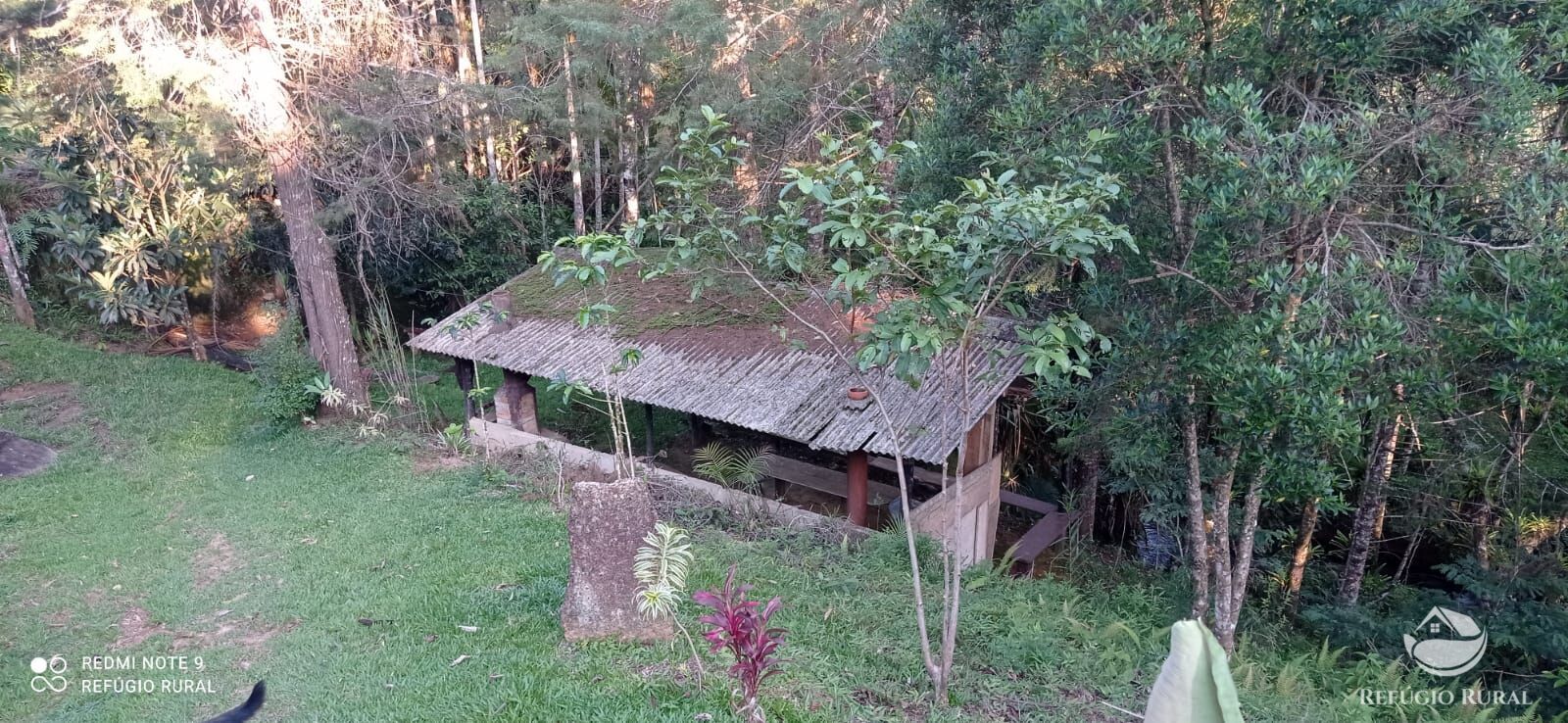 Fazenda à venda com 1 quarto, 11000m² - Foto 33