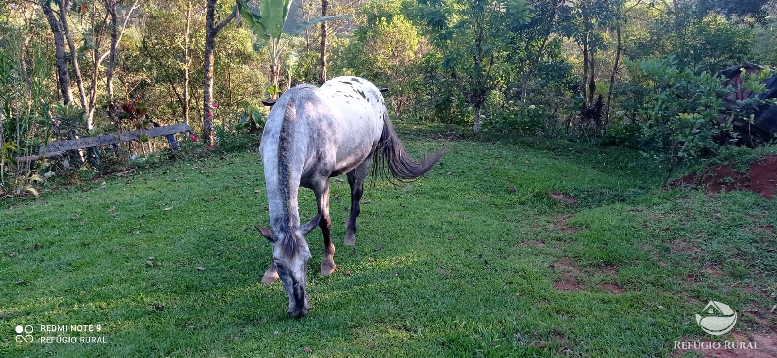 Fazenda à venda com 1 quarto, 11000m² - Foto 40