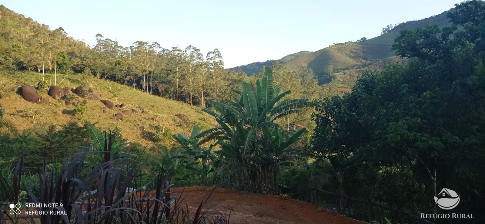 Fazenda à venda com 1 quarto, 11000m² - Foto 8