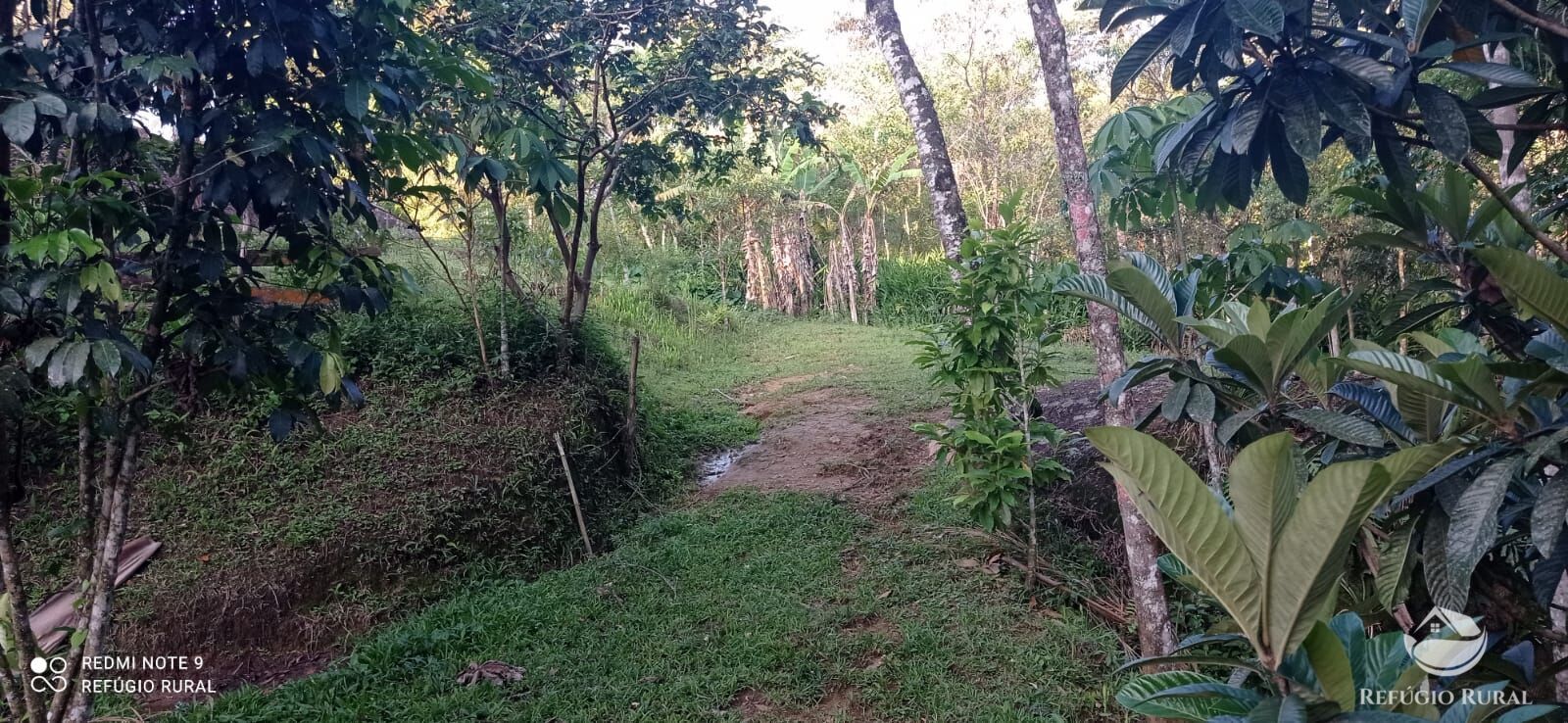 Fazenda à venda com 1 quarto, 11000m² - Foto 9