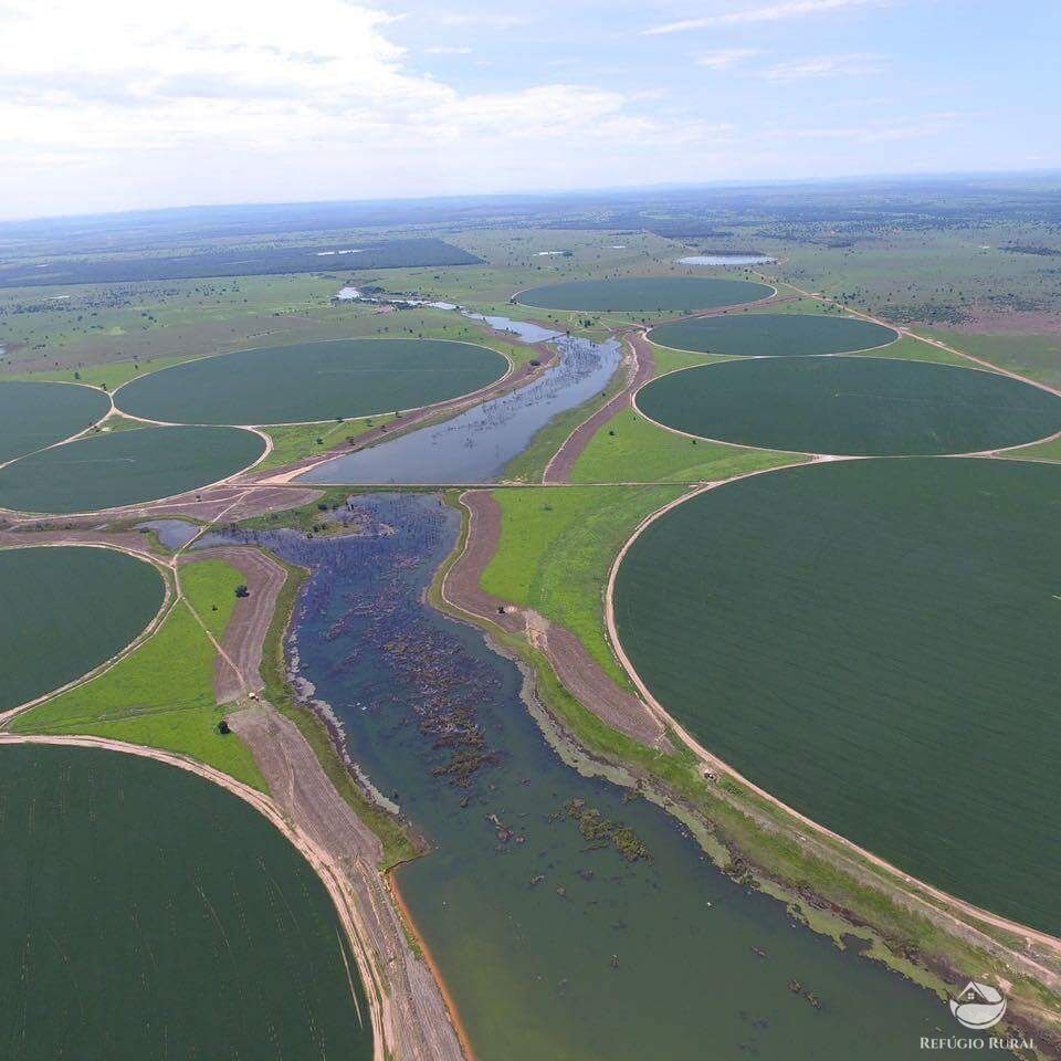 Fazenda à venda com 4 quartos, 56144000m² - Foto 1