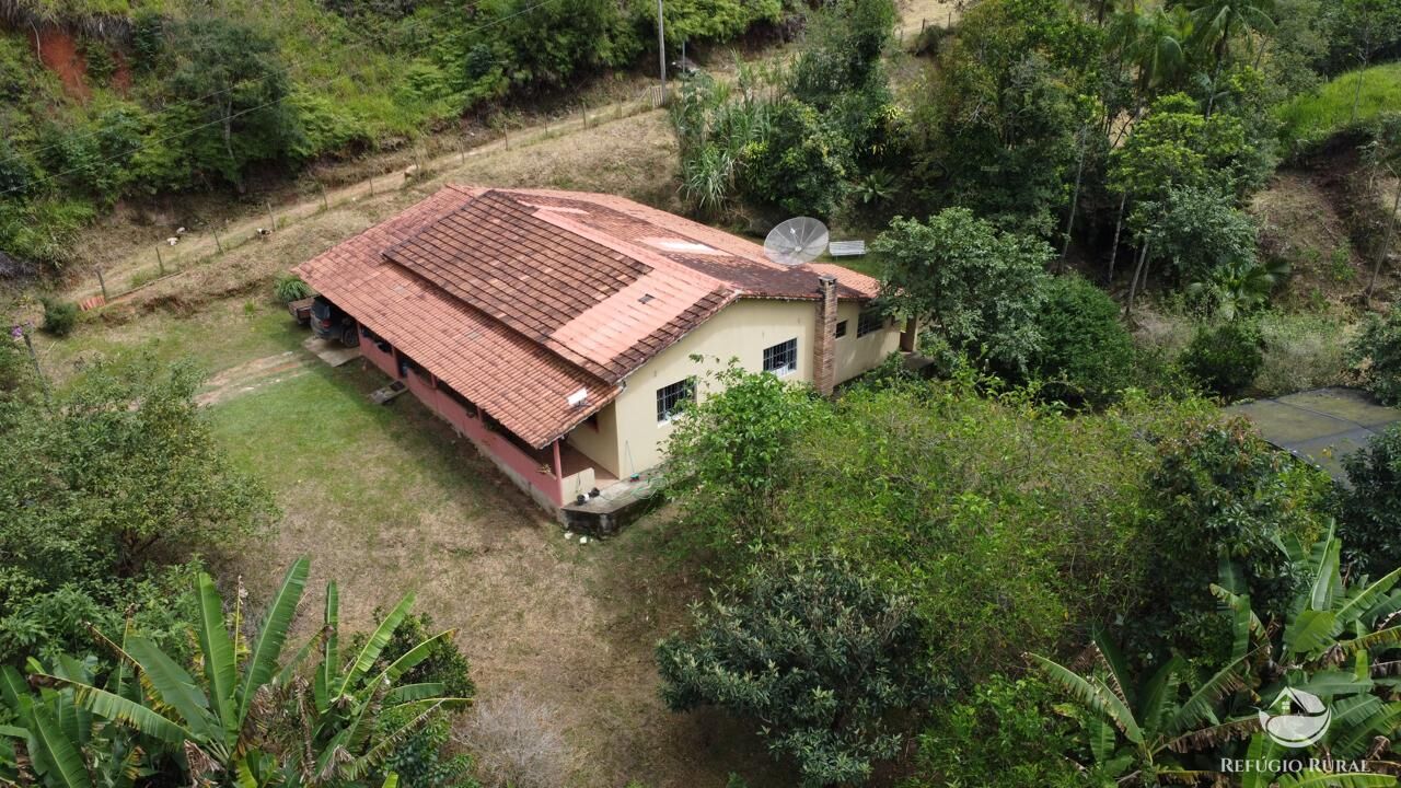 Sítio à venda com 2 quartos, 24200m² - Foto 7