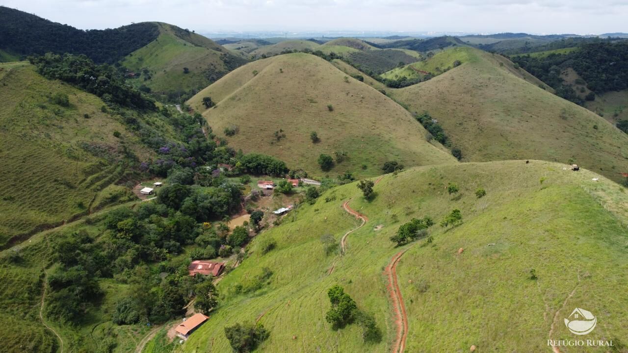 Sítio à venda com 2 quartos, 24200m² - Foto 4