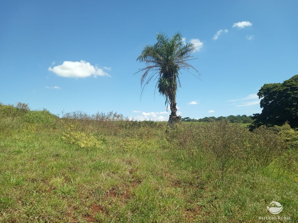 Fazenda, 96 hectares - Foto 5