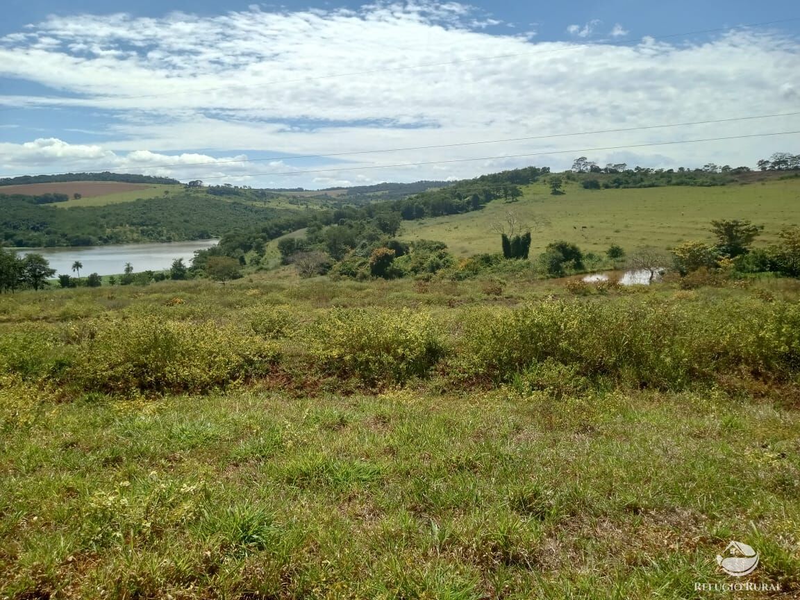 Fazenda, 96 hectares - Foto 1